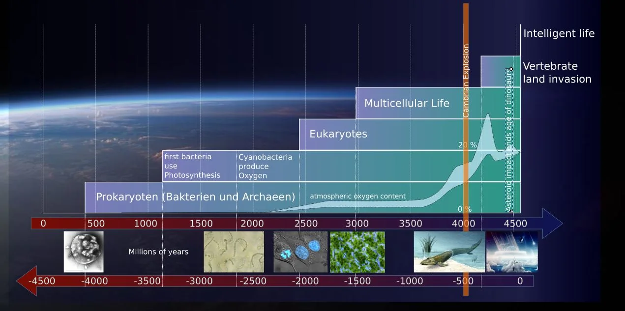 Important evolutionary steps on the way to intelligent life.