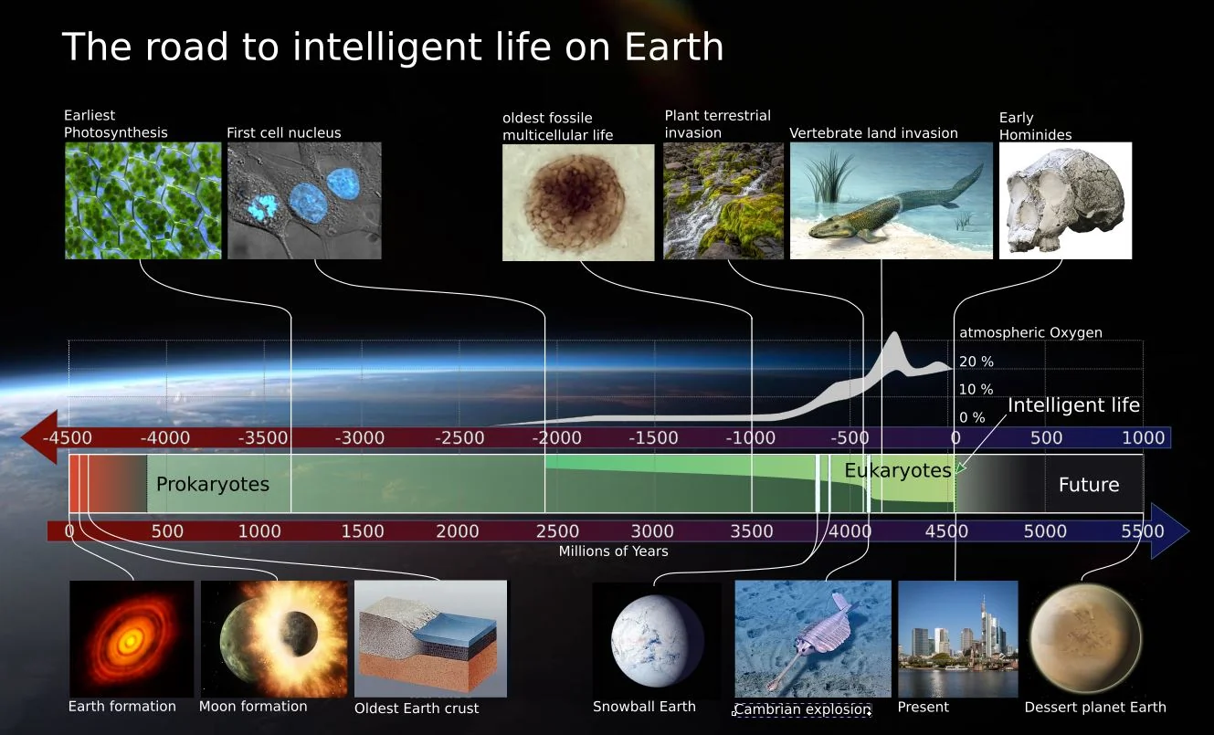 Milestones in the evolution of life on Earth